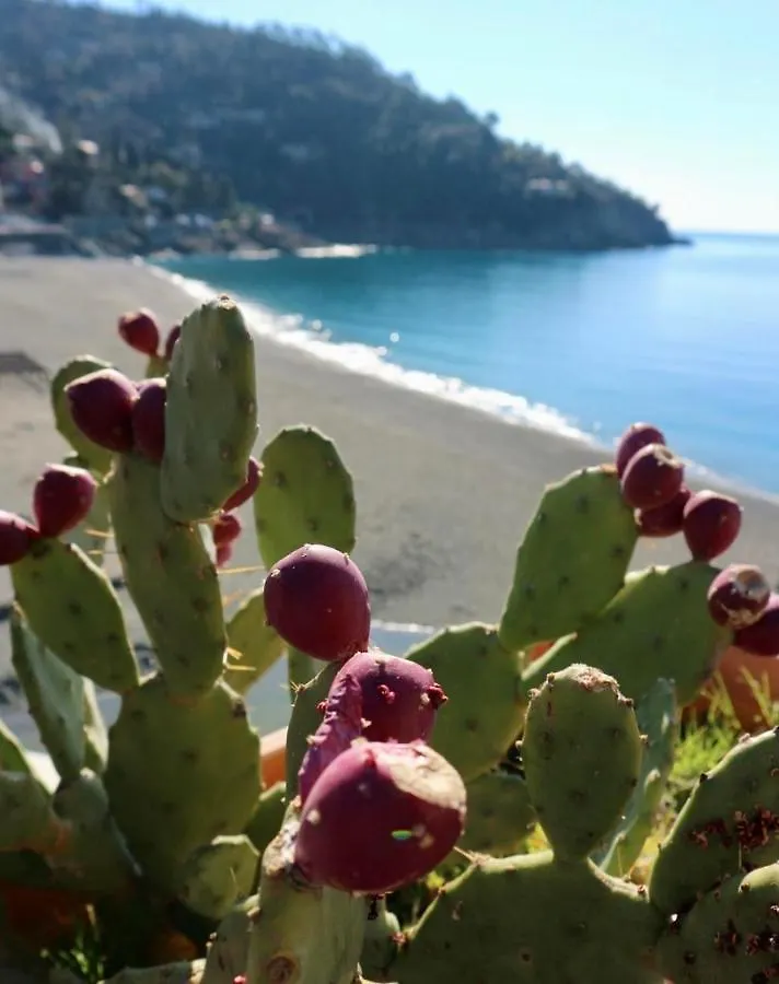 Il Nido Da Chiara Hotel La Spezia